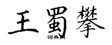 丁謙王蜀攀楷書個性簽名怎么寫