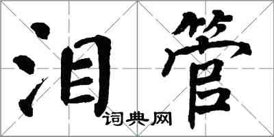 翁闓運淚管楷書怎么寫