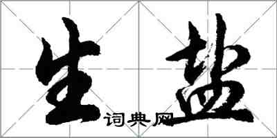 胡問遂生鹽行書怎么寫