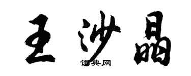 胡問遂王沙晶行書個性簽名怎么寫