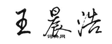 駱恆光王晨浩行書個性簽名怎么寫