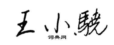 王正良王小驍行書個性簽名怎么寫