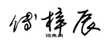 朱錫榮傅梓辰草書個性簽名怎么寫