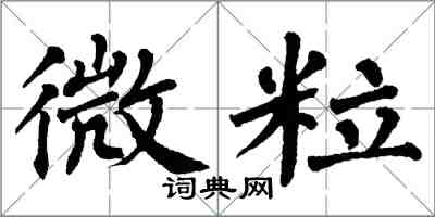 翁闓運微粒楷書怎么寫