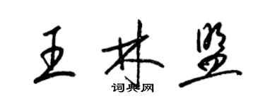 梁錦英王林盟草書個性簽名怎么寫