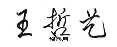 駱恆光王哲藝行書個性簽名怎么寫