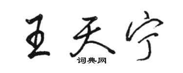 駱恆光王天寧行書個性簽名怎么寫