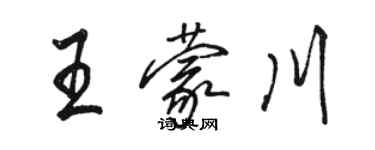 駱恆光王蒙川行書個性簽名怎么寫