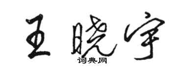 駱恆光王曉宇行書個性簽名怎么寫