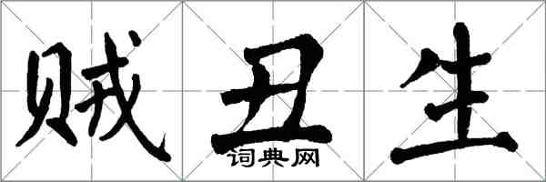 翁闓運賊醜生楷書怎么寫