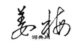 駱恆光姜梅草書個性簽名怎么寫