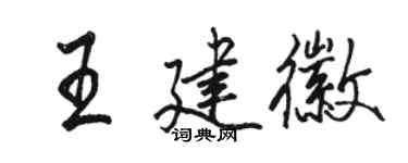 駱恆光王建徽行書個性簽名怎么寫