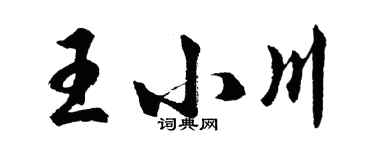 胡問遂王小川行書個性簽名怎么寫