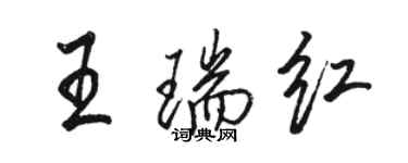 駱恆光王瑞紅行書個性簽名怎么寫