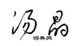 梁錦英湯晶草書個性簽名怎么寫