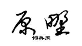 朱錫榮原野草書個性簽名怎么寫