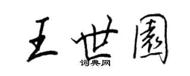 王正良王世園行書個性簽名怎么寫