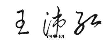 駱恆光王沛紅草書個性簽名怎么寫