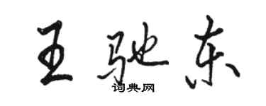 駱恆光王馳東行書個性簽名怎么寫