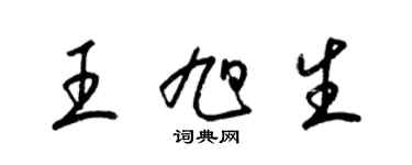 梁錦英王旭生草書個性簽名怎么寫