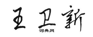 駱恆光王衛新行書個性簽名怎么寫
