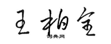 駱恆光王柏全草書個性簽名怎么寫