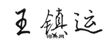 駱恆光王鎮運行書個性簽名怎么寫