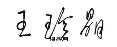 駱恆光王珍晶草書個性簽名怎么寫