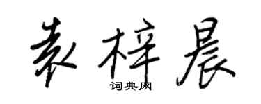王正良袁梓晨行書個性簽名怎么寫