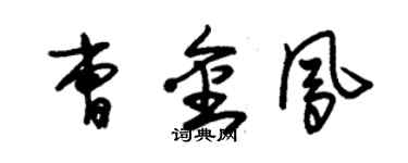 朱錫榮曹金鳳草書個性簽名怎么寫