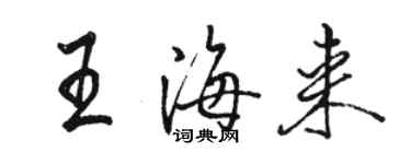 駱恆光王海來行書個性簽名怎么寫