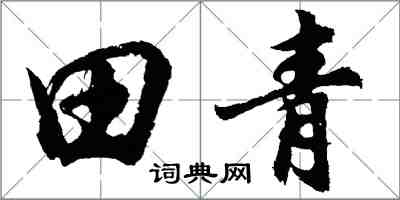 胡問遂田青行書怎么寫