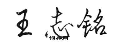 駱恆光王志銘行書個性簽名怎么寫