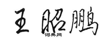 駱恆光王昭鵬行書個性簽名怎么寫