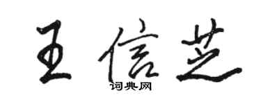 駱恆光王信芝行書個性簽名怎么寫