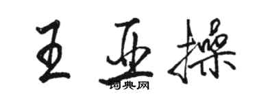 駱恆光王亞操行書個性簽名怎么寫