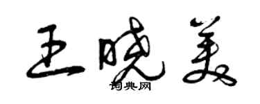 曾慶福王曉美草書個性簽名怎么寫