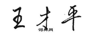 駱恆光王才平行書個性簽名怎么寫