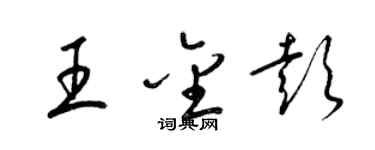 梁錦英王金彭草書個性簽名怎么寫