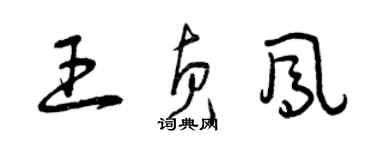 曾慶福王貞鳳草書個性簽名怎么寫