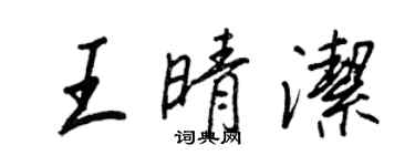 王正良王晴潔行書個性簽名怎么寫