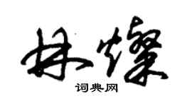 朱錫榮林燦草書個性簽名怎么寫