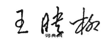 駱恆光王映柳草書個性簽名怎么寫