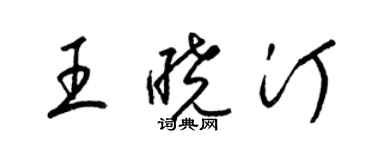 梁錦英王曉汀草書個性簽名怎么寫
