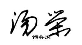 朱錫榮湯榮草書個性簽名怎么寫