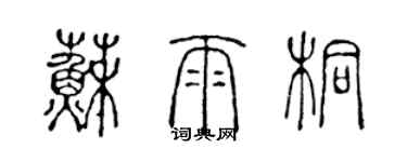 陳聲遠蘇雨桐篆書個性簽名怎么寫