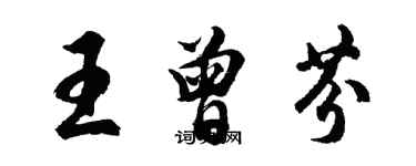 胡問遂王曾芬行書個性簽名怎么寫