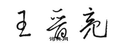 駱恆光王晉亮草書個性簽名怎么寫