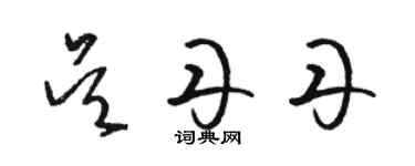 駱恆光吳丹丹草書個性簽名怎么寫