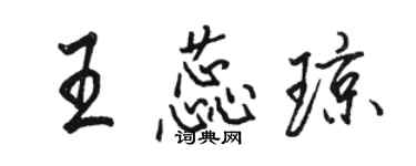 駱恆光王蕊瓊行書個性簽名怎么寫